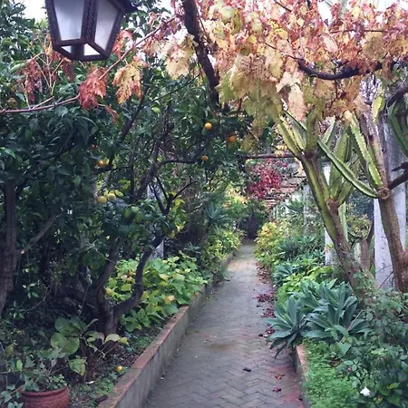 Casa Di Artisti Anni Trenta Nel Cuore Di Appartamento Capri
